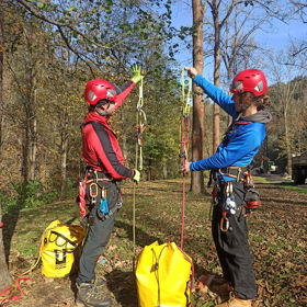 Tree Climbing