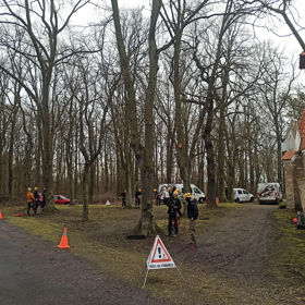 Tree Climbing